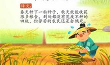小学生必背古诗词鉴赏——悯农（春种一粒粟）