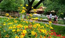 美丽的劳动公园_2000字