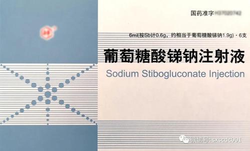 发烧_3000字