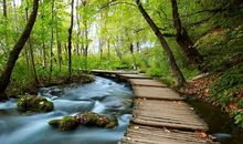 潍坊的春与夏_650字