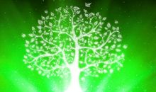 绿叶对根的情意_1200字