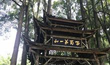 青城山之行_650字