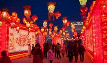 回乡迎新春_600字