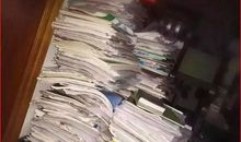 寒假逛花市_650字