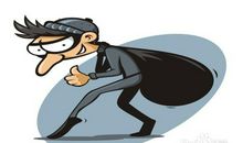 “小偷”出没......_800字