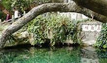 没有蝴蝶的蝴蝶泉_1200字