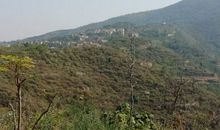 家乡的五云山_350字