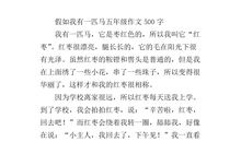 假如我有一匹马（7）_500字