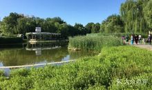 附近的人定湖公园_350字