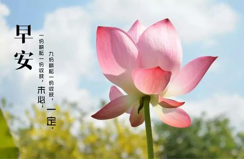内存中最美丽的地方_1000字