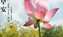 记忆中最美的地方_1000字