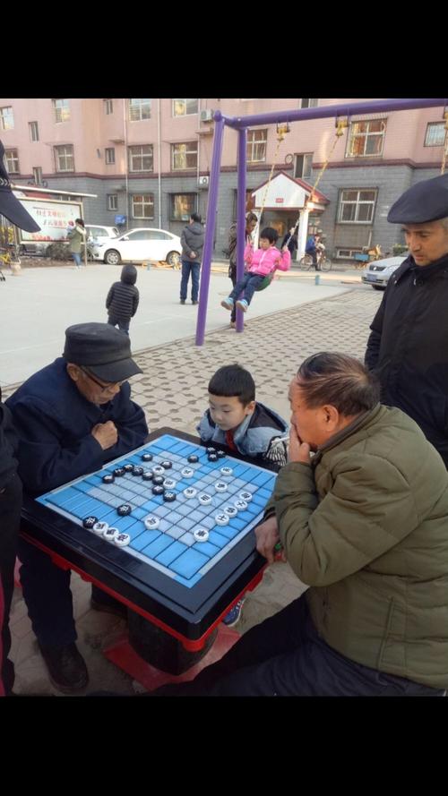我喜欢国际象棋_400字