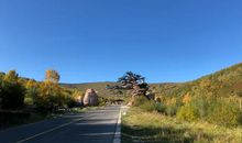 西游记（一）沙湖游_1200字