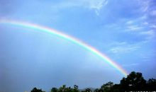 雨后的景观_200字