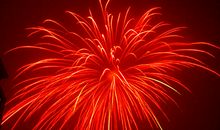 美丽的烟花_250字