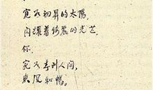 凝固的历史_500字
