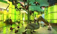 游上海科技馆_500字