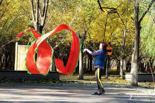 美丽的常设公园_500字