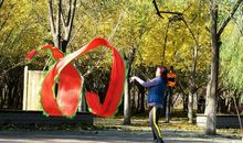 美丽的常营公园_500字