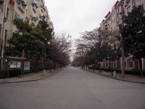美丽的襄阳Community_700字