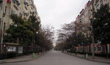 美丽的襄阳小区_700字