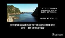 《海豚湾》观后感_450字