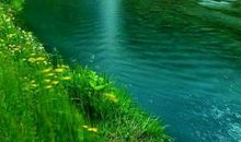 生命是一首美丽的歌_800字