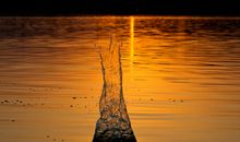 夕阳下的山楂树与一段回忆（一）_250字