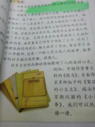 简而言之，通过阅读“Anne Wall”，我已经受益了很多：我应该积极面对一切，不要被击败！