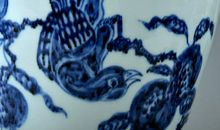 小鸟的呼救_700字