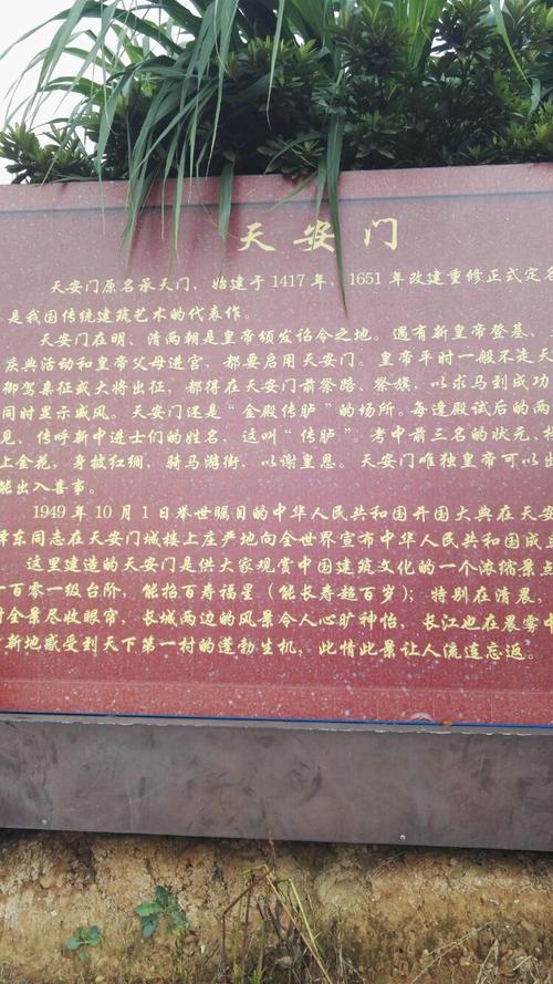 酸味和苦味_750字