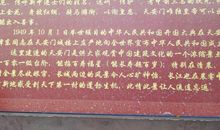 酸甜苦辣的滋味_750字