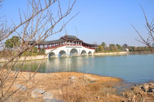 长广西湿地公园旅行_550字