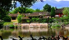 心动情动冲动_750字