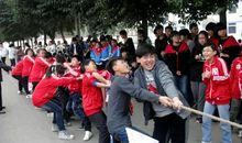 激烈的拔河比赛_3000字