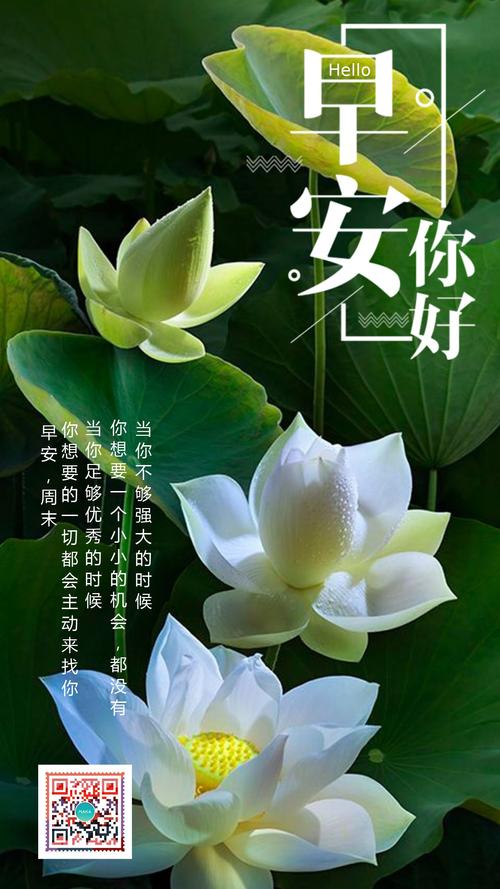 朋友你好。 _400字