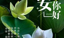 朋友，你好。_400字