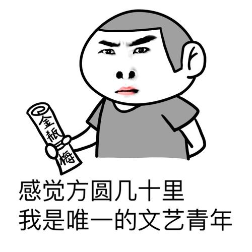 我是一个年轻人_600字