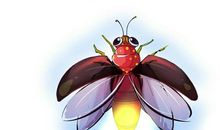 《萤火虫》简写_200字