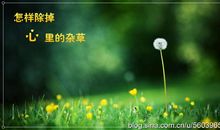 拔掉心中的杂草_1200字