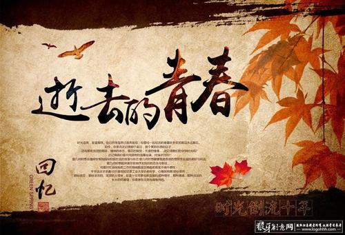 我们的青年_450字