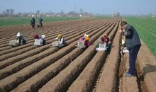 第一次挣钱_500字