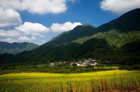 秋天到山村_600字