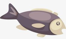 可怜的小鱼_1200字