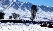 故乡的冬天_500字