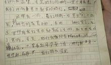 她，我的语文老师_600字