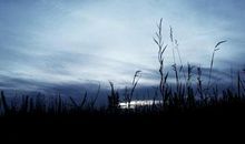 世界上最遥远的距离_800字