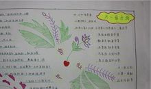 初一日记：今天我来做家务_550字