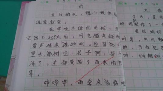 第一天：我有一个种子_650字