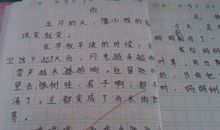 初一日记：我有一粒种子_650字